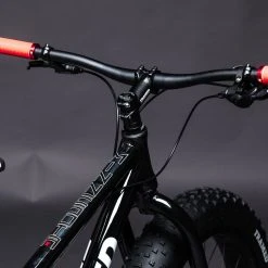 Framed Minnesota - Fat 26