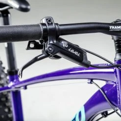 Framed Minnesota LTD Fat Bike Womens