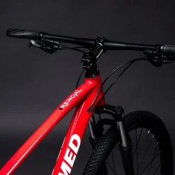 Framed Rendal Alloy - Mountain 29