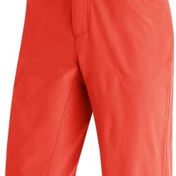 CLOTHING Gore Wear Passion Bike Shorts Mens