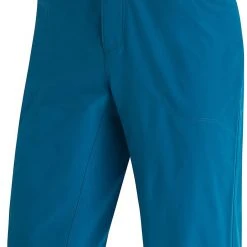 CLOTHING Gore Wear Passion Bike Shorts Mens