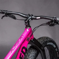Framed Alaskan Carbon - Carbon Fork - Women's Fat 27.5